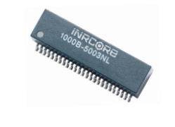 1000B-5001˫˿ڱѹiNRCORE